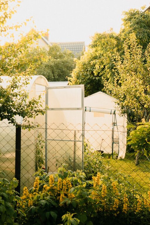 Tips for Creating a Beautiful and Sustainable Home Garden